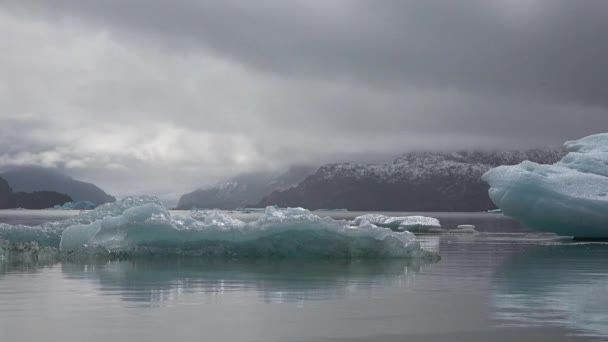 Chile. Patagonien. Isberg driver i en issjö. — Stockvideo