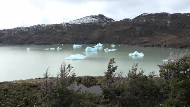 Chili. Patagonië. IJsbergen drijven in een gletsjermeer. — Stockvideo