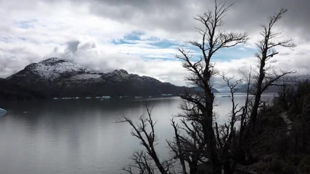 Chile. Patagonia. Icebergs deriva en un lago glacial. — Vídeo de stock