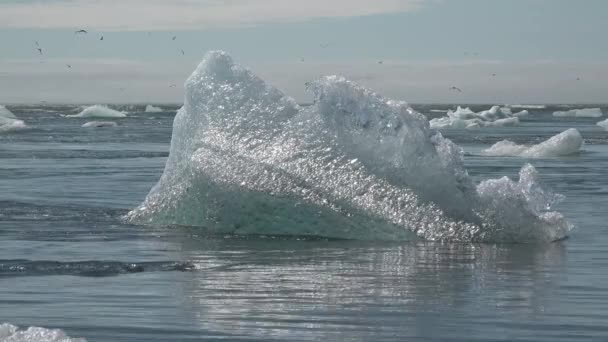 Blokken ijs smelten op de oceaan. — Stockvideo