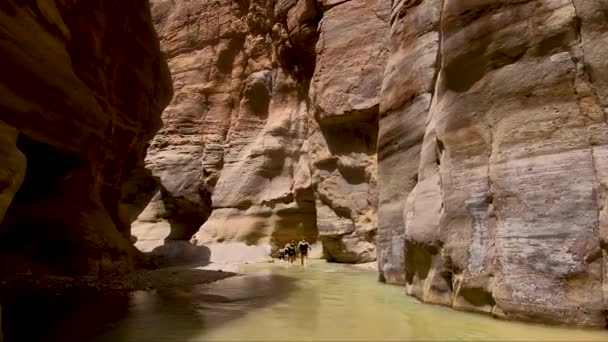 坎宁。在约旦，经过一条没有船的高山河流的峡谷. — 图库视频影像