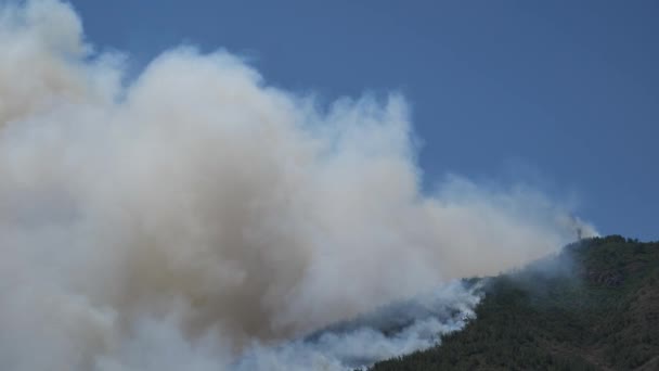 Desastre ecológico. Incêndios na costa mediterrânea. — Vídeo de Stock