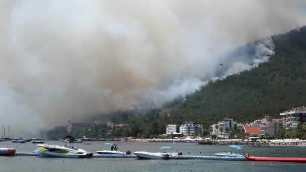 Ökológiai katasztrófa. Tűz a Földközi-tenger partján. — Stock videók