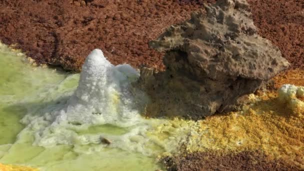 Γεωθερμικό πεδίο. Θερμές πηγές στη λίμνη οξύ. λίμνες του γαλακτικού οξέος στο Danakil κατάθλιψη στην Αιθιοπία, Αφρική. — Αρχείο Βίντεο