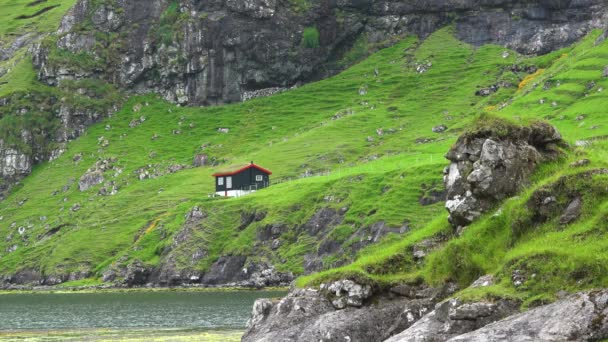 Hagyományos skandináv falu színes házakkal a tenger mellett — Stock videók