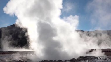 Ziyaretçiler Yellowstone Ulusal Parkı 'nda gayzerlerin patladığına ve buharın yükseldiğine tanıklık ediyorlar. Bölge, yüksek ağaçlar ve kayalık arazilerle çevrili canlı manzaralara sahip..