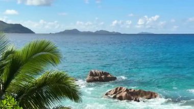 Palmiye ağaçları, parlak mavi bir gökyüzünün altında sahilde usulca sallanırlar. Dalgalar kıyıya vurur ve bulutlar yavaşça yükselir. Rahatlatıcı bir atmosfer yaratır..