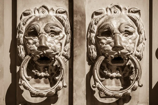 Door knobs two lions protecting the entrance — Stock Photo, Image