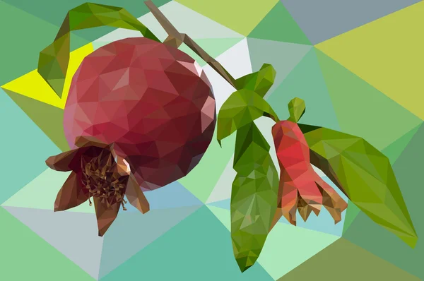 Granátové jablko ovoce v mnohoúhelníky — Stockový vektor