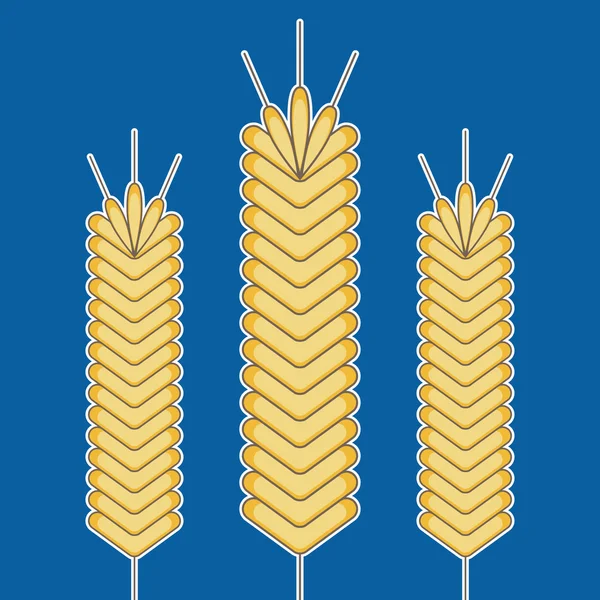 Three Ears of  Wheat — Stock Vector