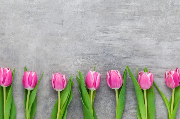 Rózsaszín tulipán a egy szürke háttér-val másol hely — Stock Fotó