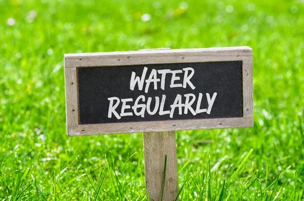 Sign on a green lawn - Water regularly — Stock Photo, Image