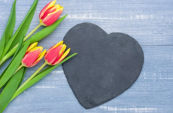 Tulipes rouges sur fond bleu avec un signe en forme de cœur — Photo