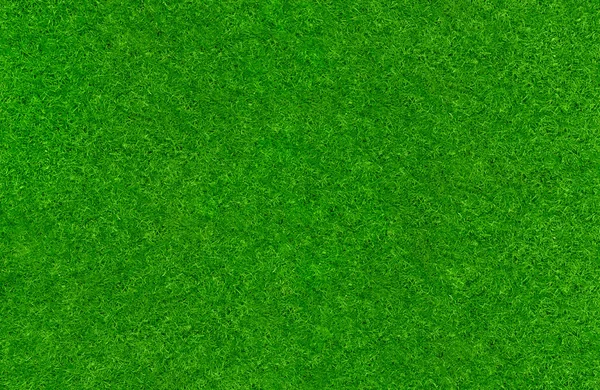 绿色的草坪纹理 — 图库照片