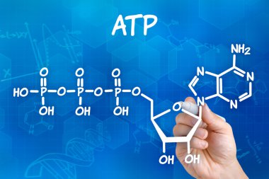 Hand with pen drawing the chemical formula of ATP clipart