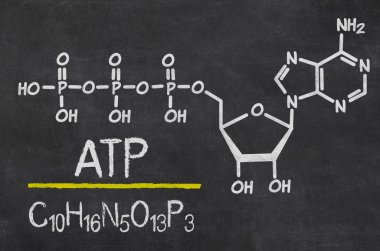 Blackboard with the chemical formula of ATP clipart