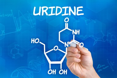 Hand with pen drawing the chemical formula of Uridine clipart
