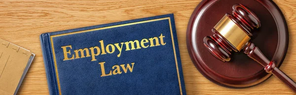Gavel Law Book Employment Law — Stock Photo, Image