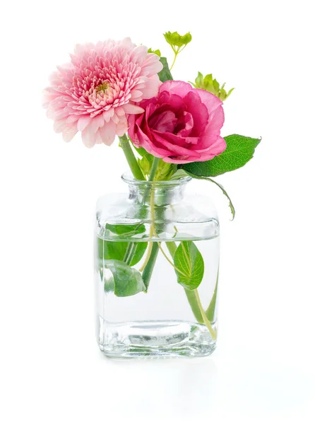Flowers Glass Vase White Background — Stock Photo, Image