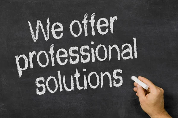 Blackboard with the text We offer professional solutions — Stock Photo, Image