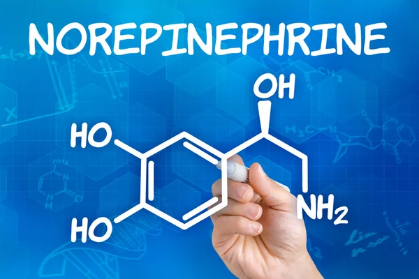 Mano con pluma dibujando la fórmula química de Norepinefrina — Foto de Stock