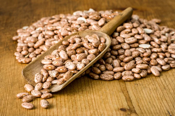 Wooden scoop with pinto beans — Stock Photo, Image