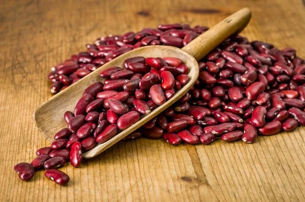 Wooden scoop with kidney beans — Stock Photo, Image