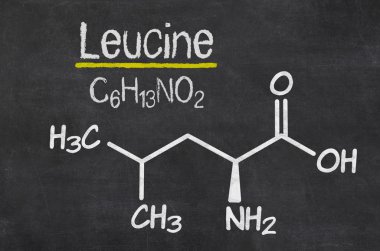 Blackboard with the chemical formula of Leucine clipart