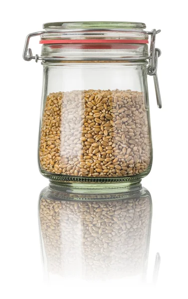 Wheat in a jar — Stock Photo, Image