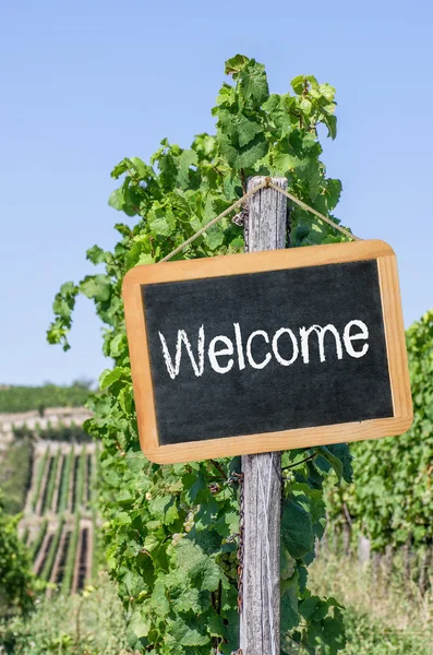 Schoolbord in de wijngaarden - Welkom — Stockfoto