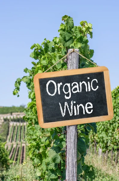 Blackboard in the vineyards - Organic Wine — Stock Photo, Image