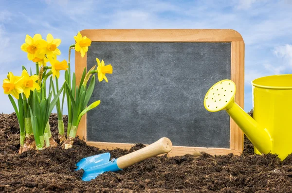 Empty blackboard in the flower bed — Stock Photo, Image