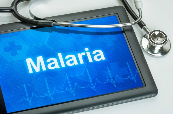 Tablet s diagnózou malárie na displeji — Stock fotografie