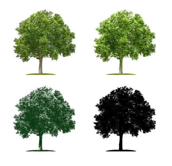 Дерево в чотирьох різних ілюстрація техніки - плоске дерево — стокове фото