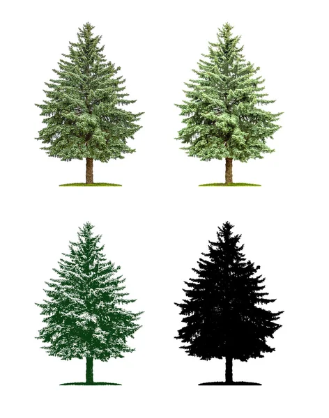 Árvore em quatro técnicas diferentes de ilustração - Pinheiro — Fotografia de Stock