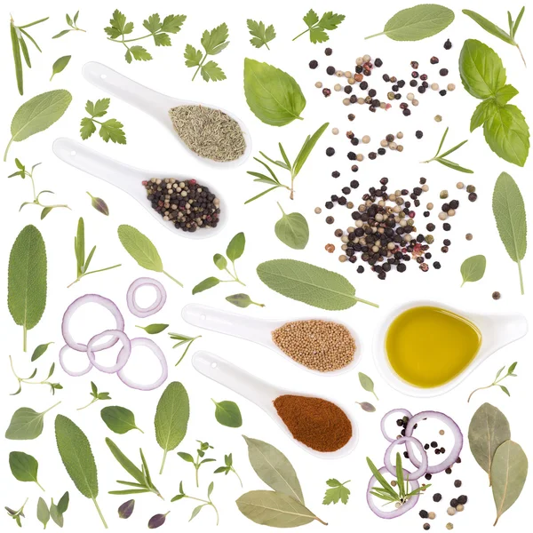 Fresh herbs and spices isolate on white background — Stock Photo, Image