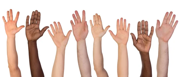 Many hands up isolated on white background — Stock Photo, Image