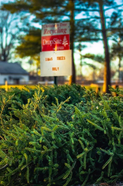 Park with sign marking where old Christmas trees can be dropped off for recycling after the holidays