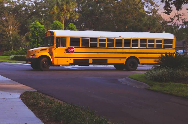 Вид Сбоку Желтый Школьный Автобус Сша Ранним Утром Пересекающий Дорогу — стоковое фото