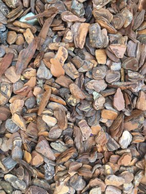 ağaç kabuğu parçaları arkaplan dokusu deseni