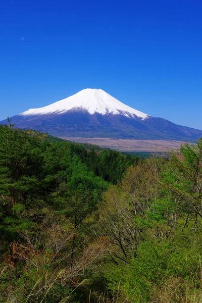 Fuji Nel Cielo Azzurro Dal Passo Nijyuumagari Nel Villaggio Oshino — Foto Stock