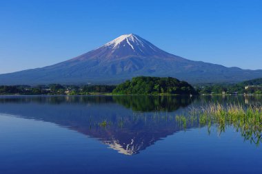 Mt. Kawaguchi Gölü 'ndeki Oishi Park' tan açık mavi gökyüzüne sahip Fuji.