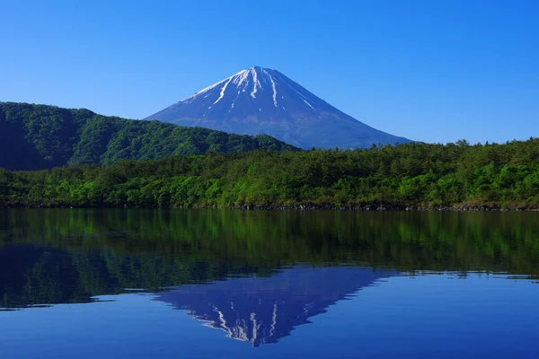 Fuji Desde Lago Saiko 2021 —  Fotos de Stock