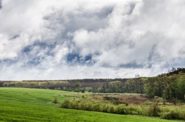 alandan sonra fırtına