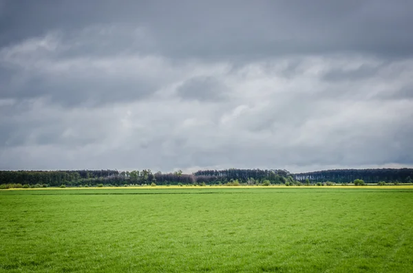 Campo e tempesta — Foto Stock