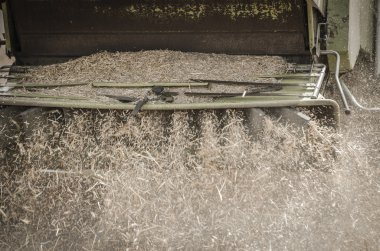 Buğdayı Harman Biçici