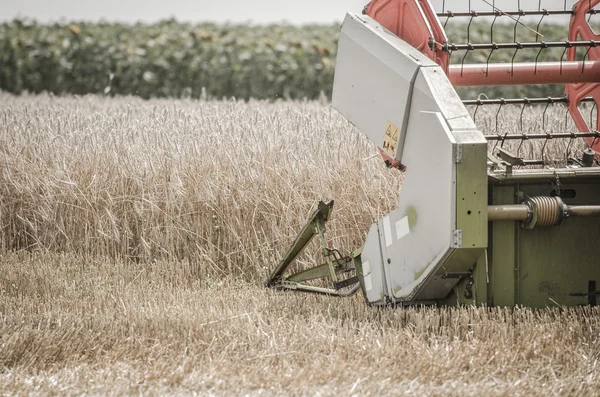 The reaper thresh the wheat — Stock Photo, Image