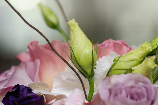 Arrangement floral — Photo