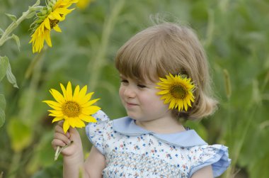 Ayçiçeği tarlasında küçük bir kız