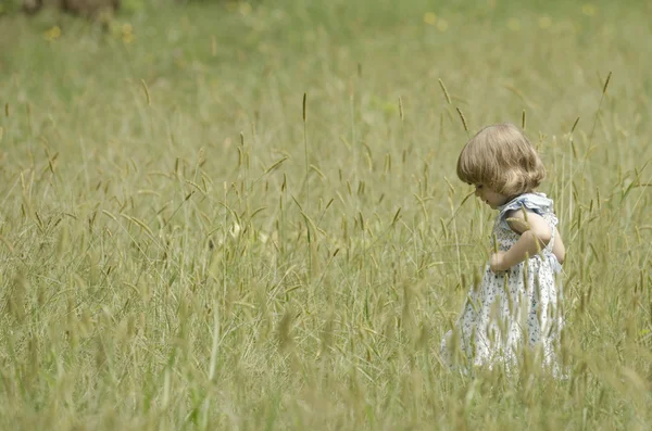 Маленькая девочка в летнем поле — стоковое фото